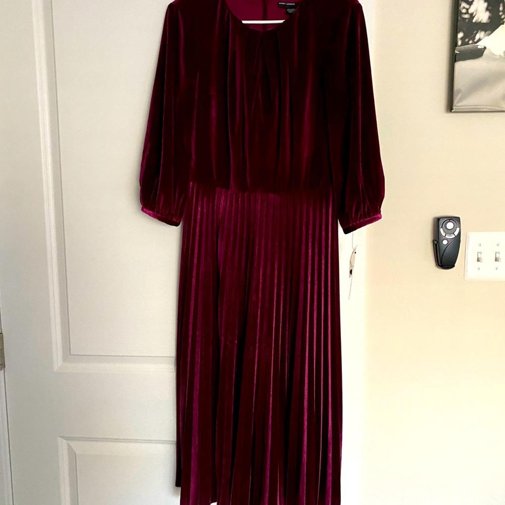 Maggy London Velvet Dress
